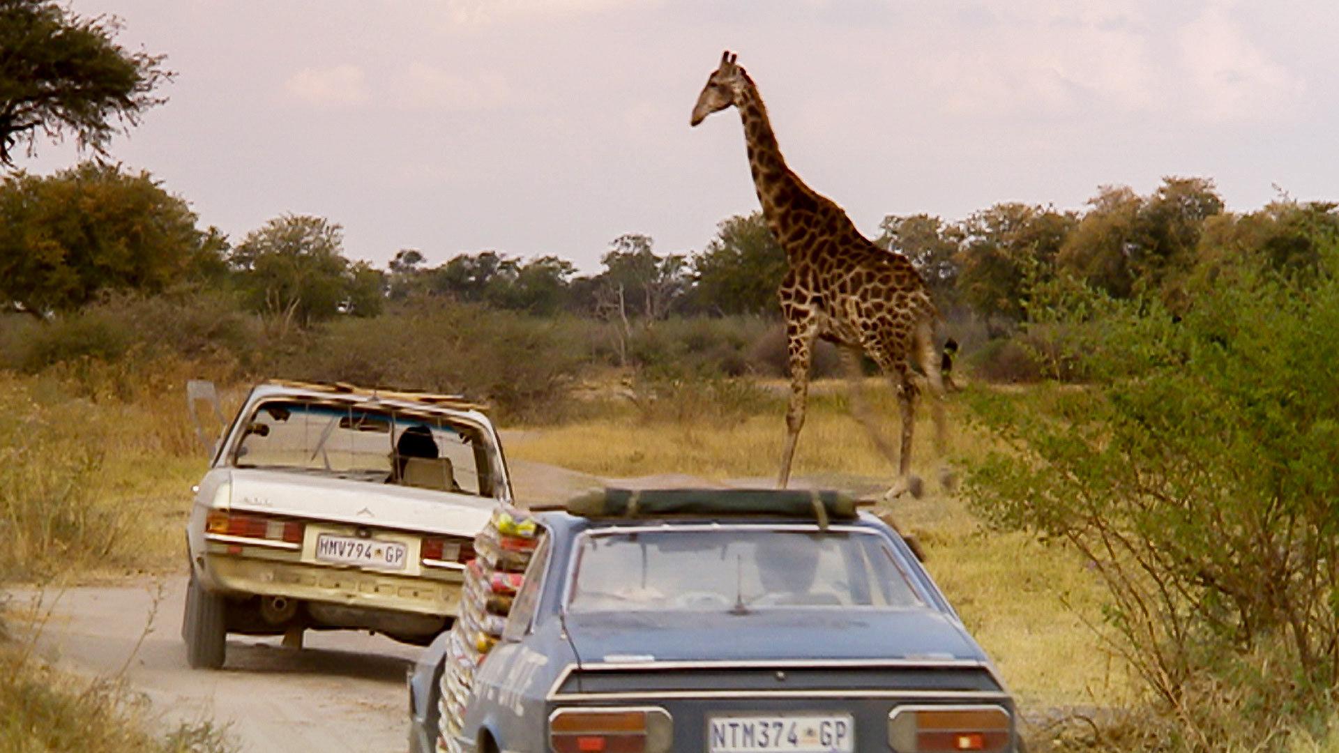Top Gear: Botswana Special | MotorTrend