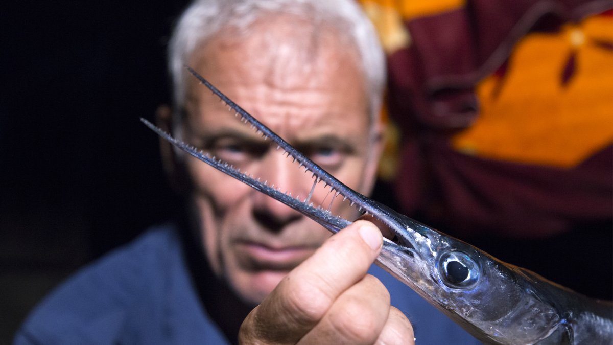 River Monsters - Animal Planet GO