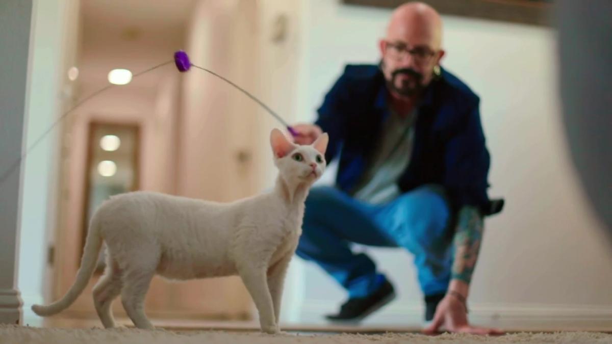 My cat from hell best sale season 10 episode 10