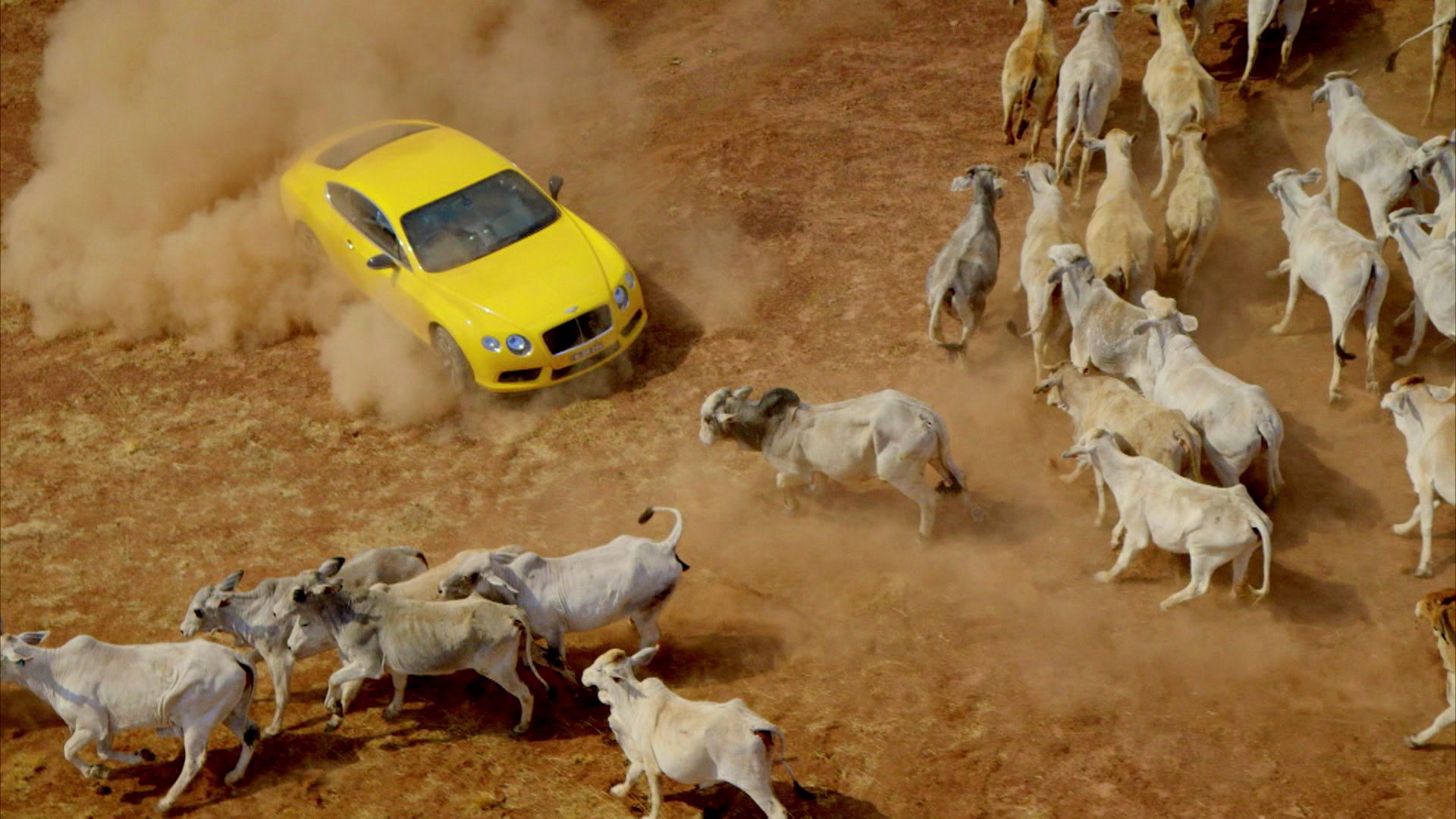 Best Of Top Gear: 1, Episode 32 - No Animals Were Harmed... | MotorTrend