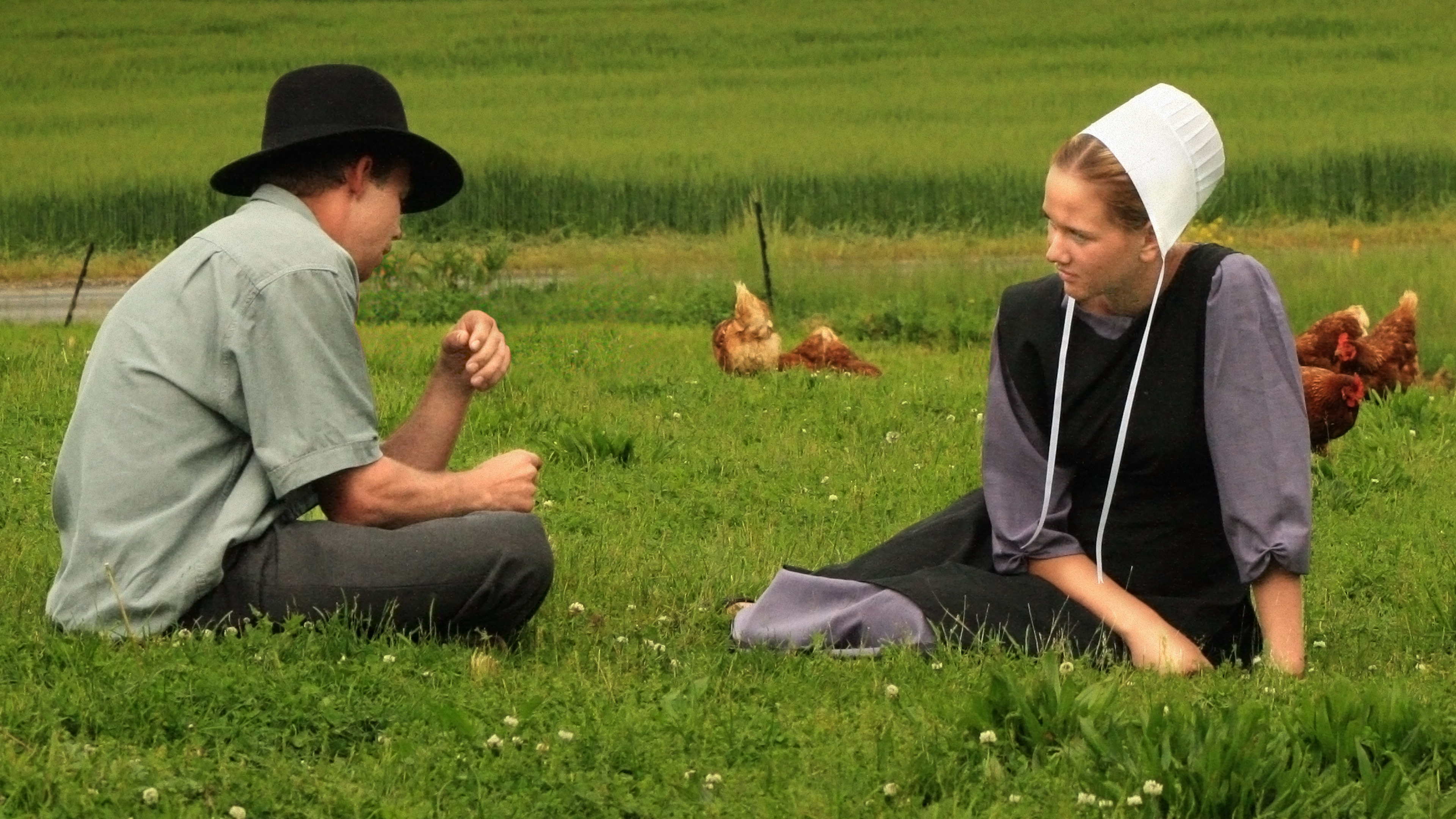 Panorama amish farm scene in hi-res stock photography and images - Alamy