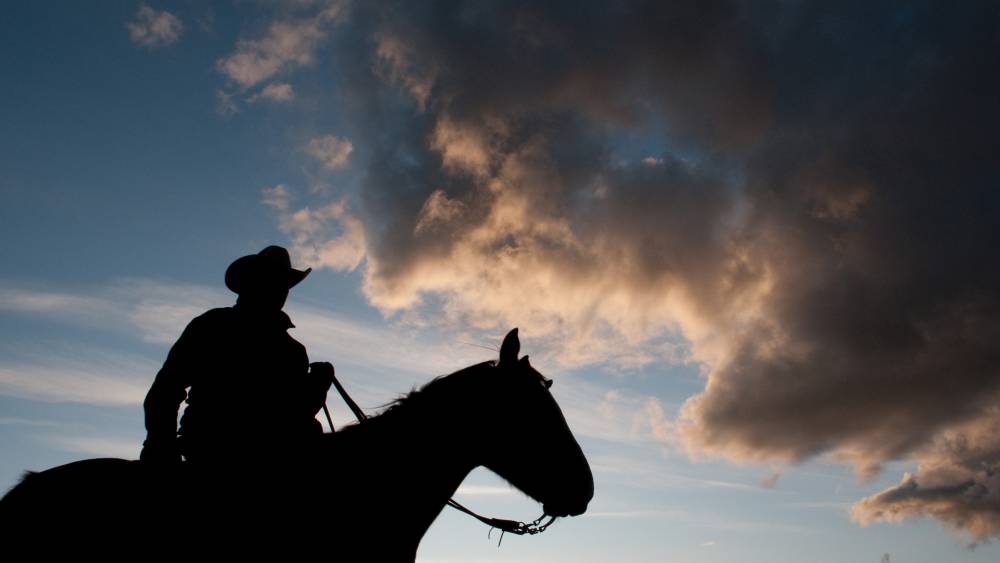 Stream Last American Cowboy discovery+