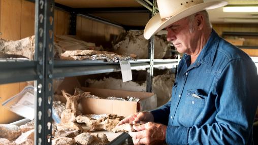 dino hunters discovery episodes