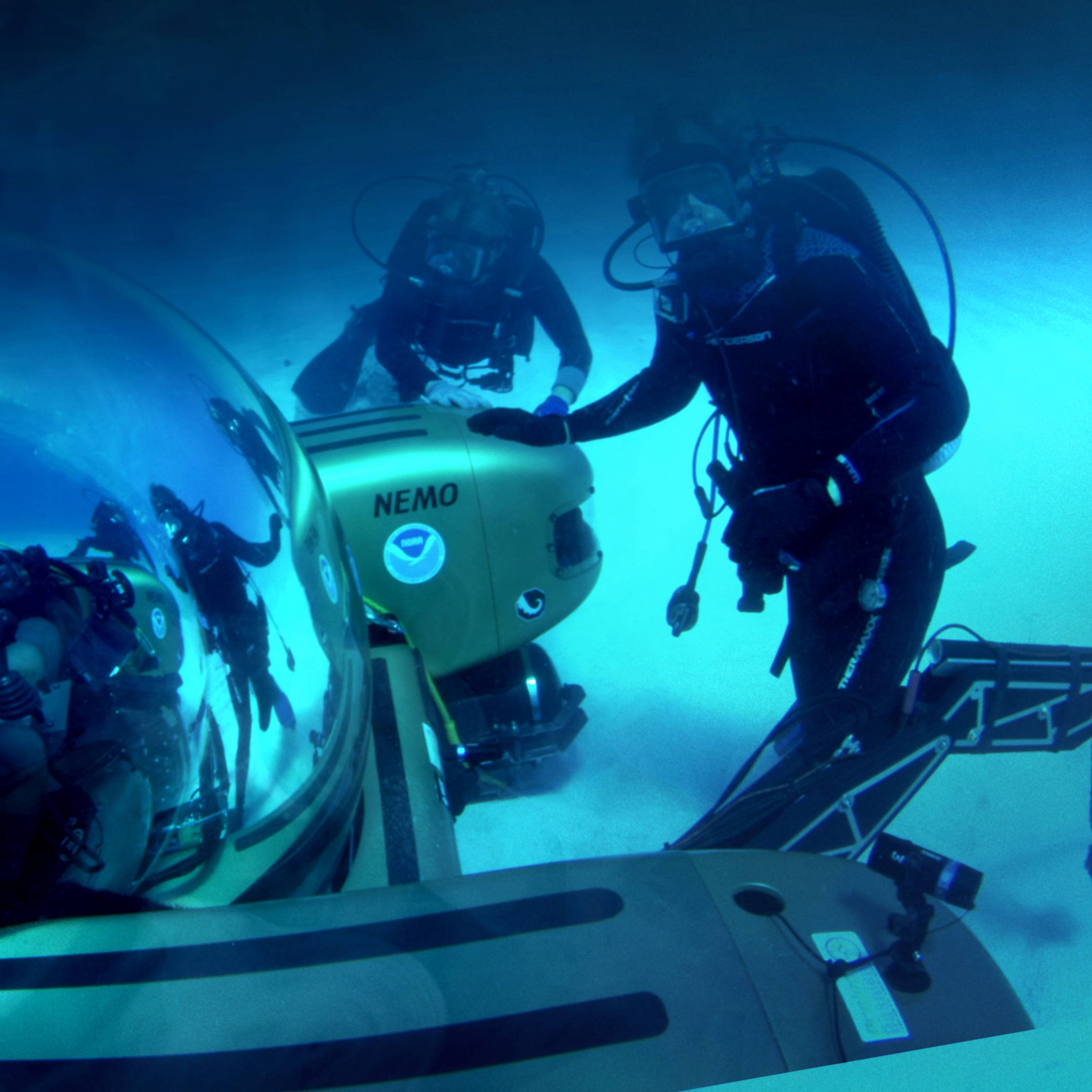 Stream Cooper's Treasure discovery+