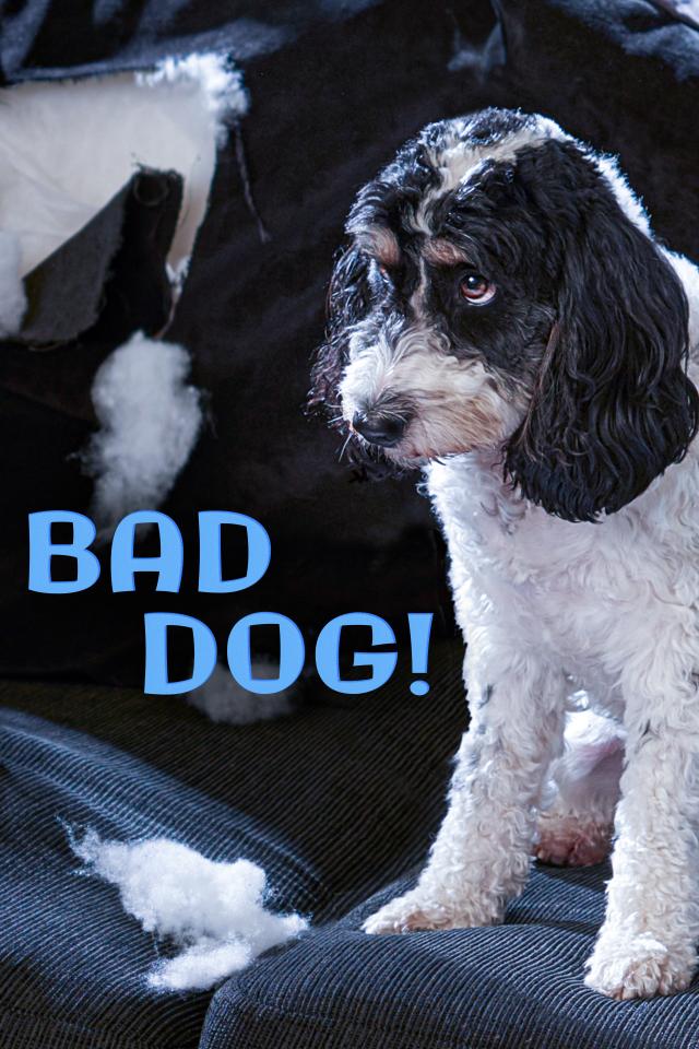 Watch Animal Planet - The Animal Kingdom online free - FREECABLE TV Watch Animal Planet - The Animal Kingdom online free - FREECABLE TV
