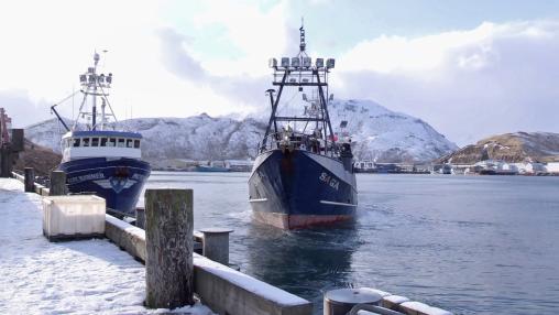 The Wizard Sails Right Up to the Ice Park . Deadliest Catch #Sea