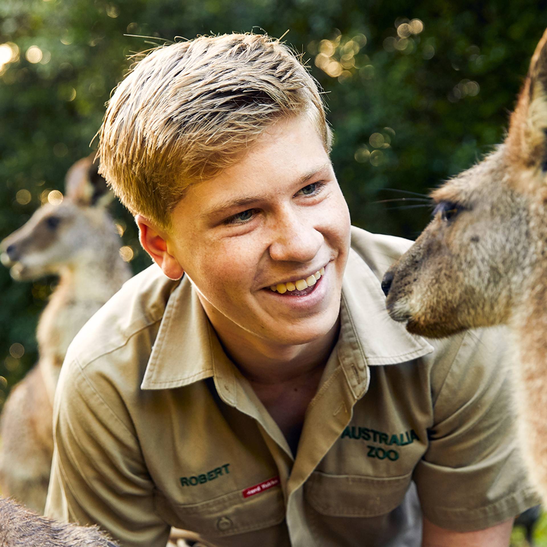Stream Crikey It's the Irwins: Robert to the Rescue | discovery+ Stream Crikey It's the Irwins: Robert to the Rescue | discovery+