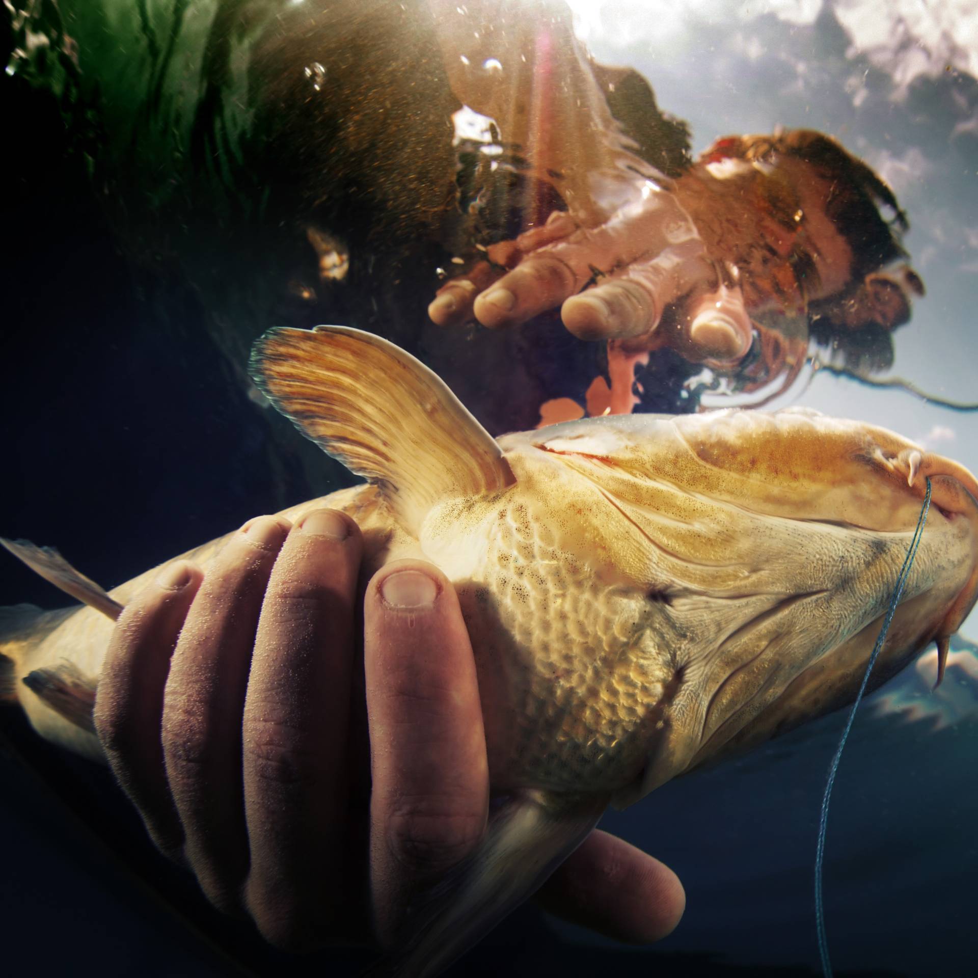 Saltwater Hillbilly Hand-Fishing : r/Fishing