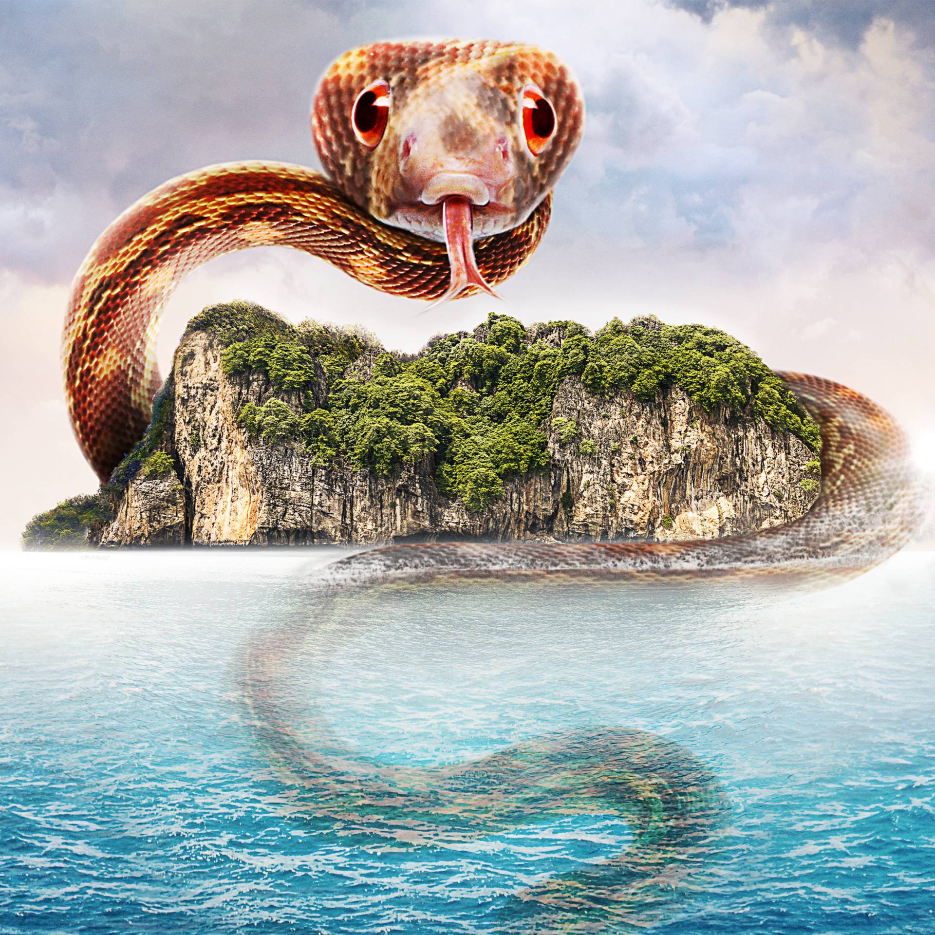 Treasure quest season 3 discount episode 9 free online