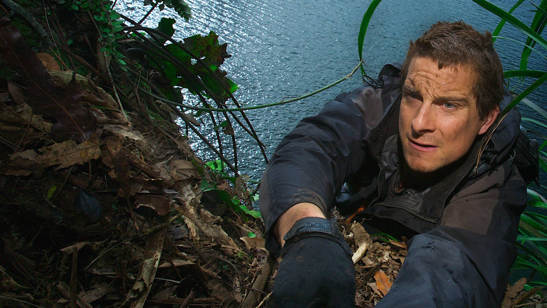 Stream Man vs Wild discovery Stream Man vs Wild discovery