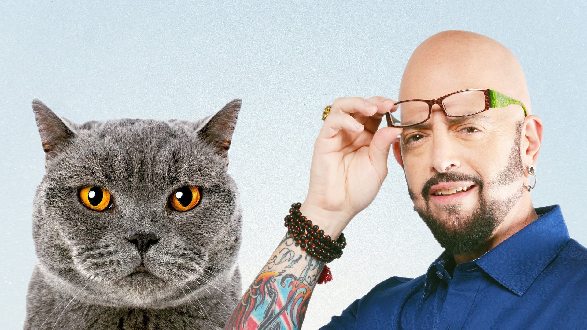 Jackson Galaxy