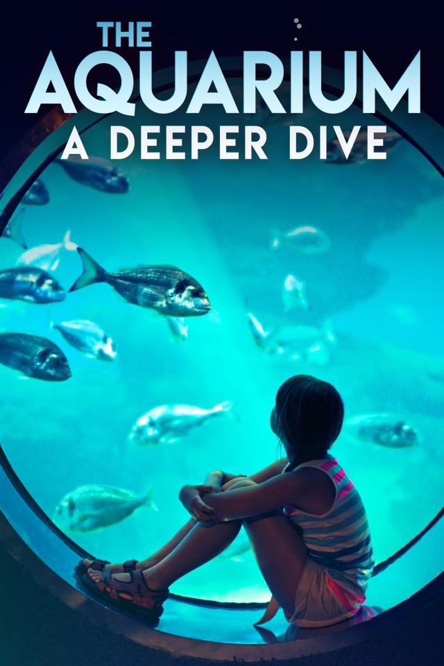The Aquarium: A Deeper Dive on FREECABLE TV