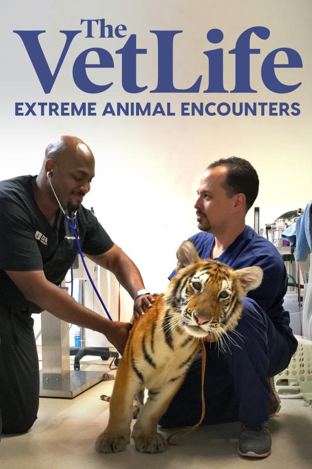 The Vet Life: Extreme Animal Encounters on FREECABLE TV