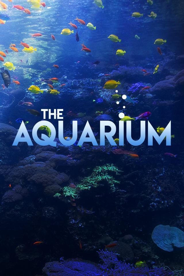 The Aquarium on FREECABLE TV