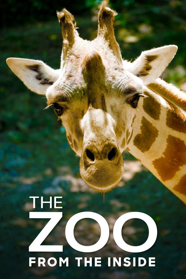 The Zoo: From the Inside on FREECABLE TV