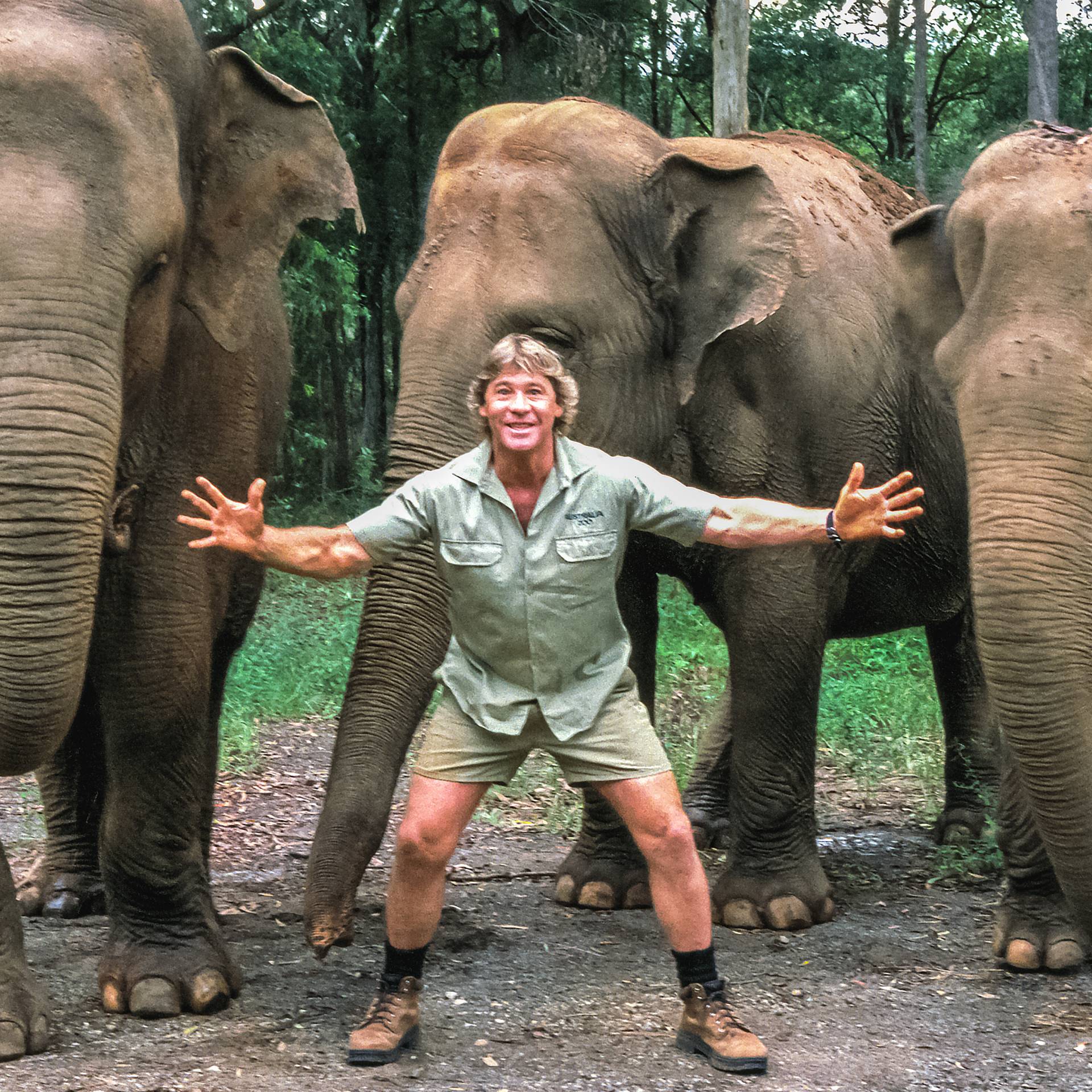 Stream The Steve Irwin Story | discovery+