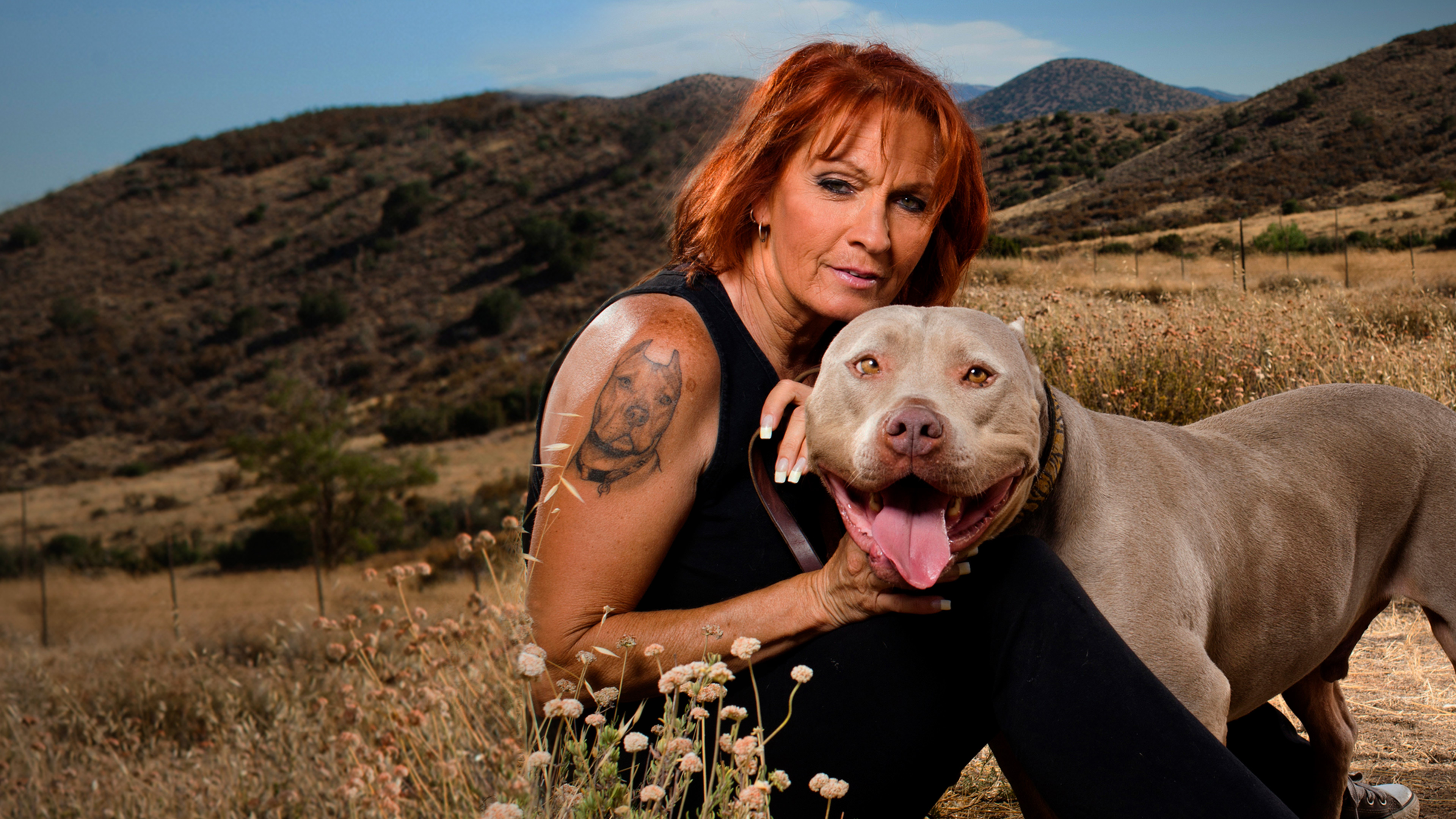 Stream Pit Bulls Parolees Found A Forever Home Discovery   71146f22 C4b8 382a Ad63 A84616cd926e 