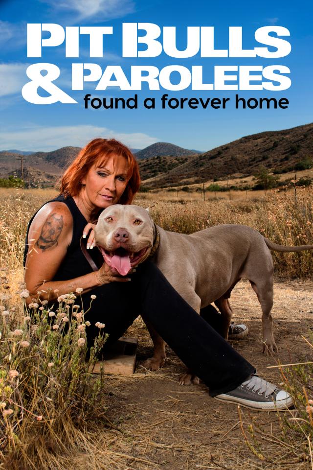 Pit Bulls & Parolees: Found a Forever Home on FREECABLE TV