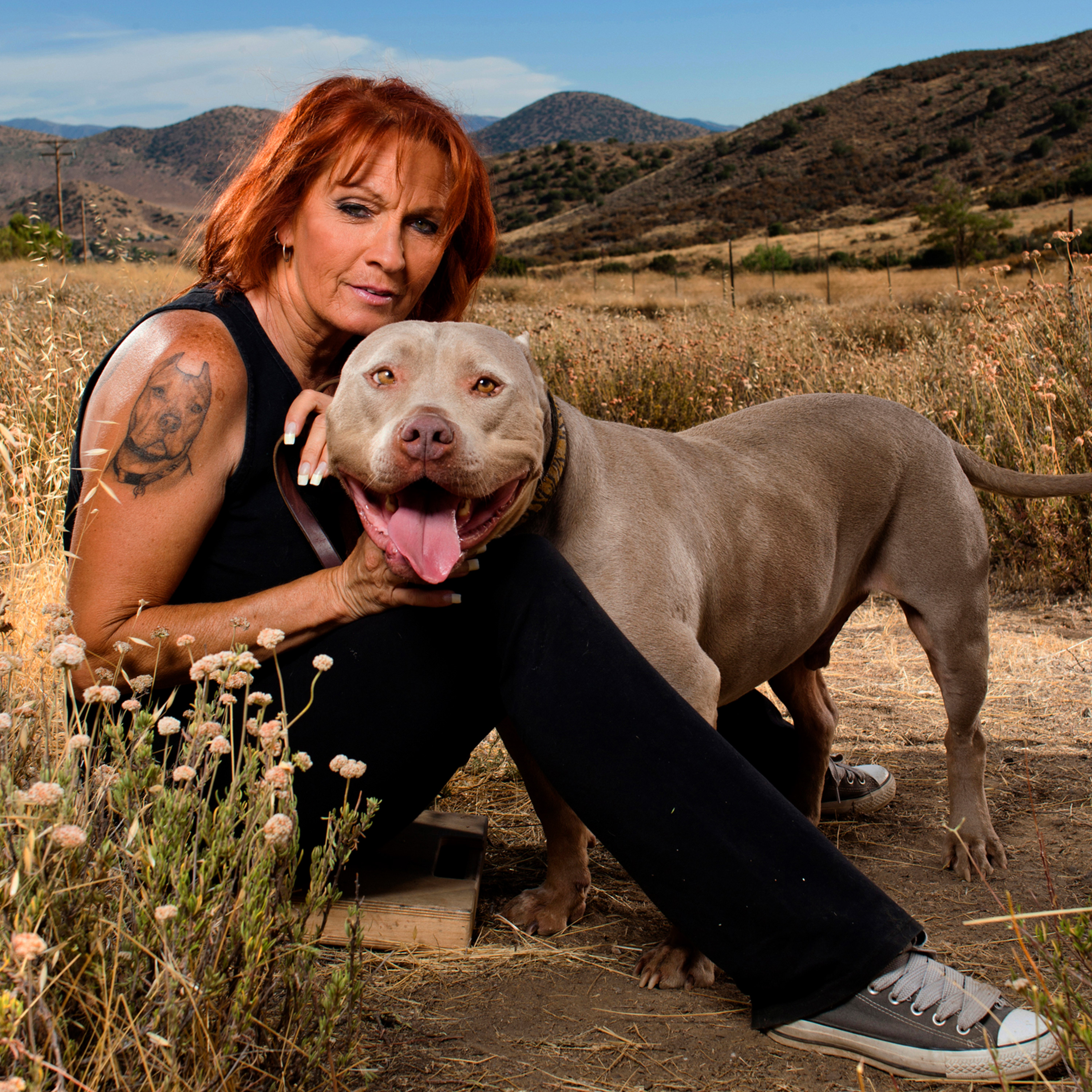 Stream Pit Bulls Parolees Found A Forever Home Discovery   Ea6906c8 C4ff 3dea Bf61 B6c83d86db7b 