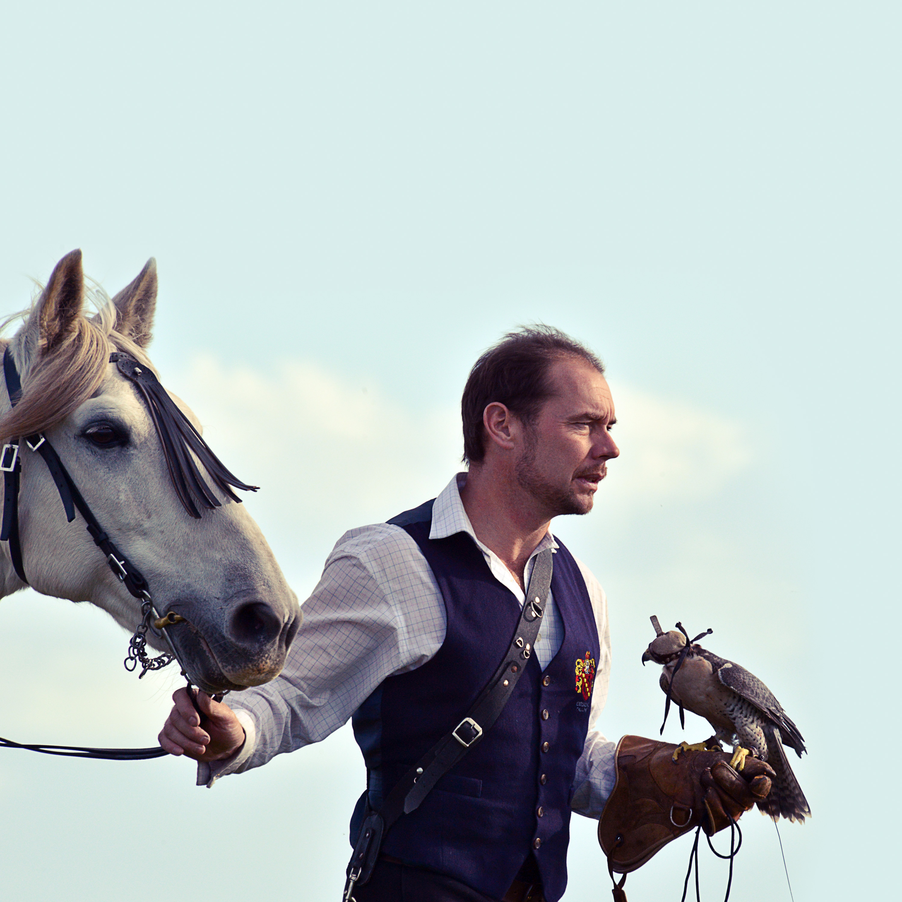 Stream Preposterous Pets | discovery+