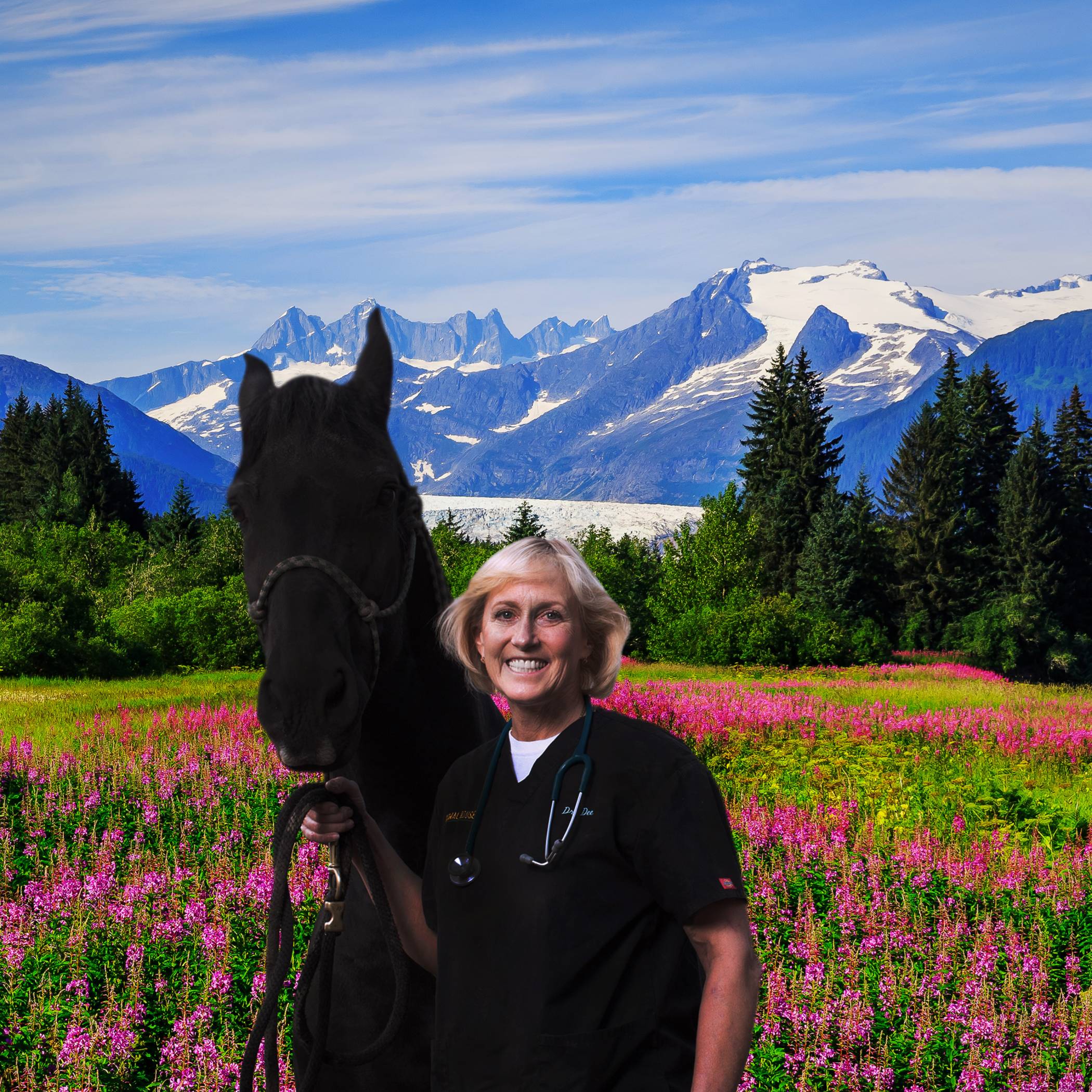 Stream Dr. Dee Alaska Vet discovery+