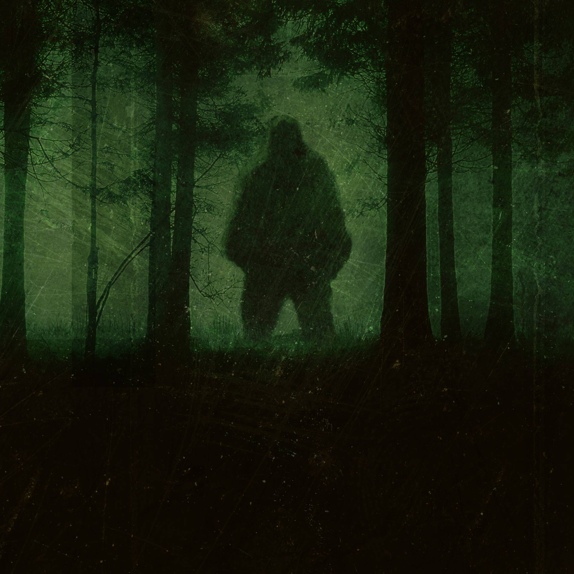 Tales of Bigfoot: The Hunt