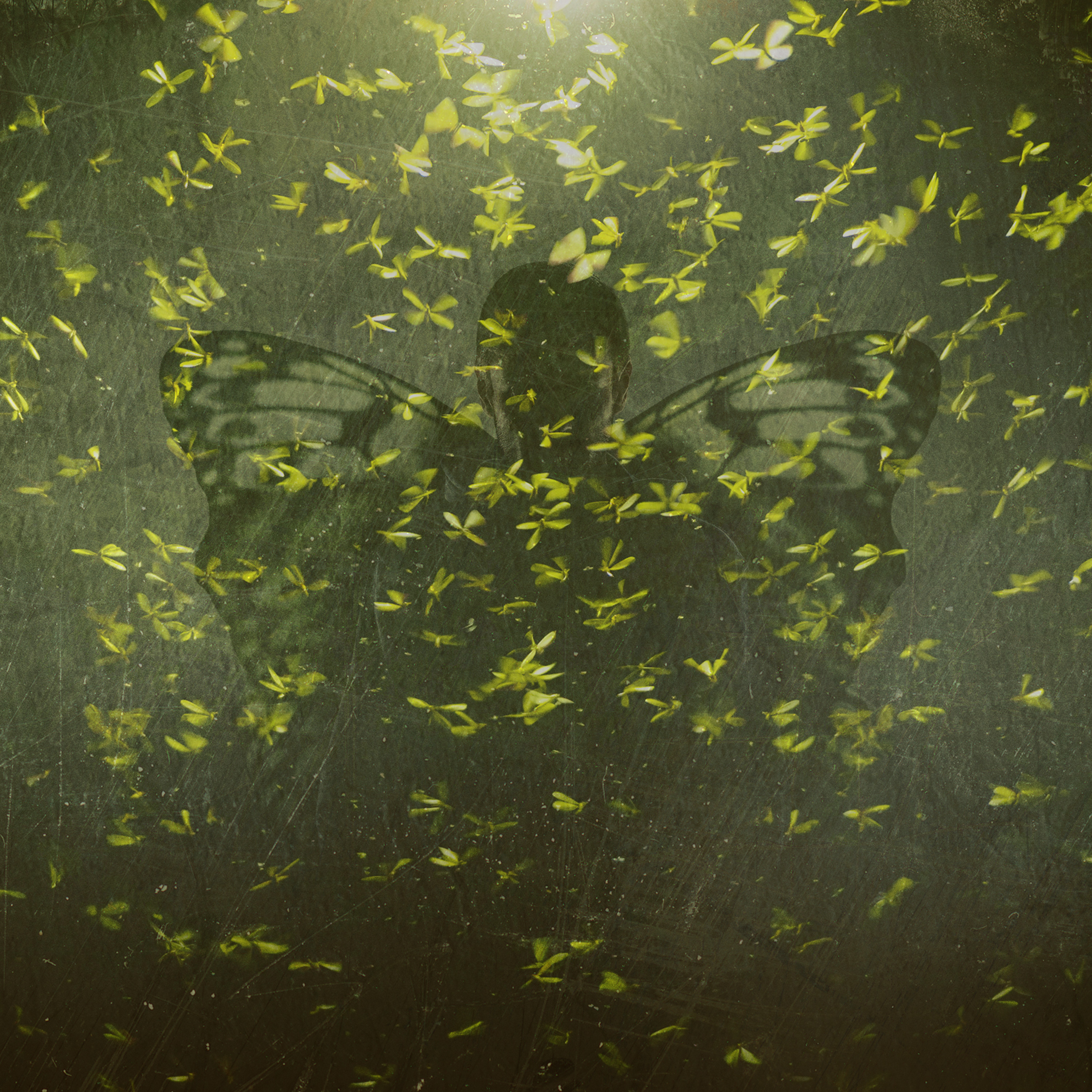 Stream The Mothman Sightings discovery+