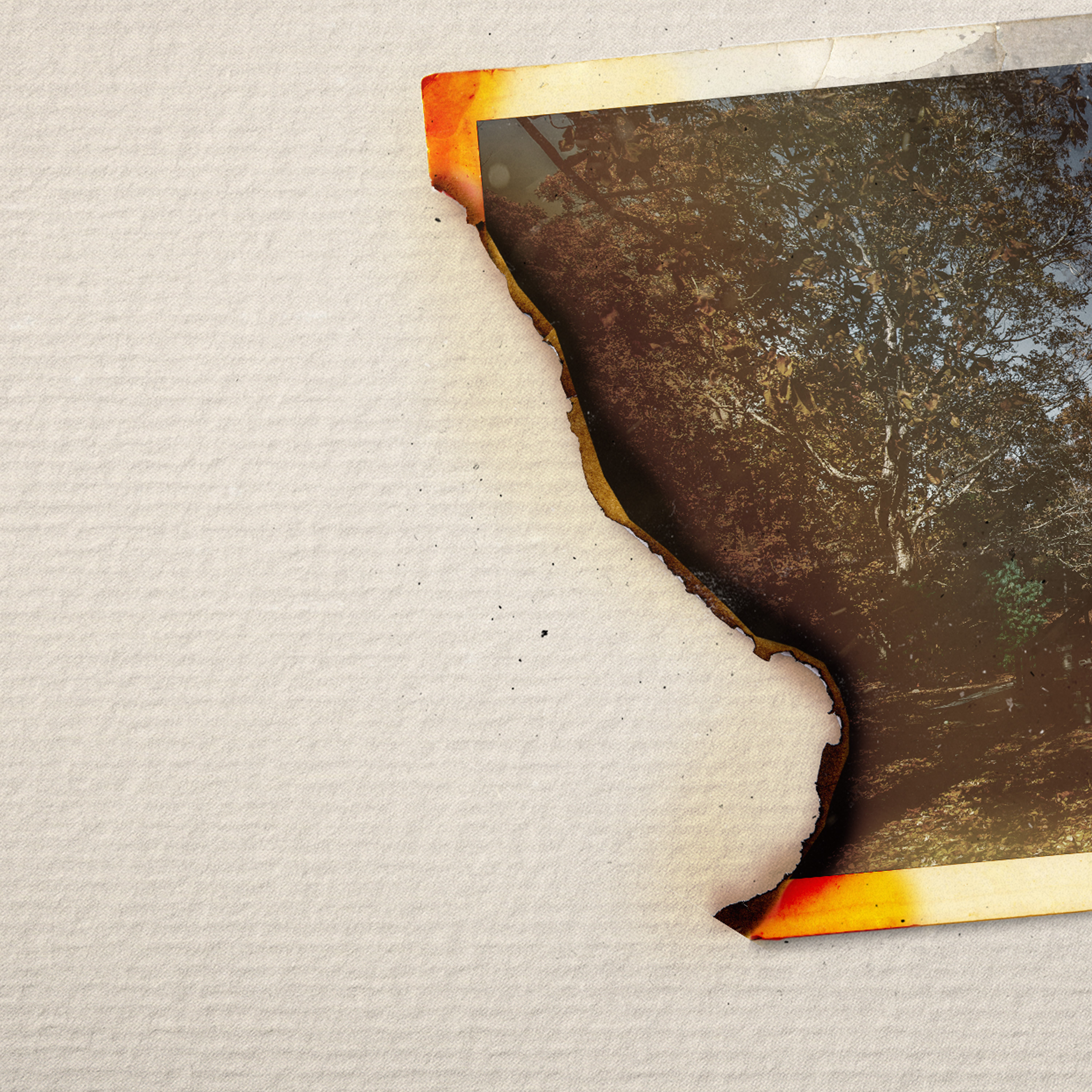 Stream Kentucky Murder Mystery The Trials of Anthony Gray discovery+