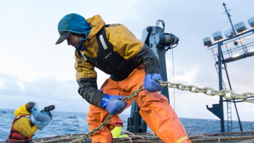 The Wizard Sails Right Up to the Ice Park . Deadliest Catch #Sea