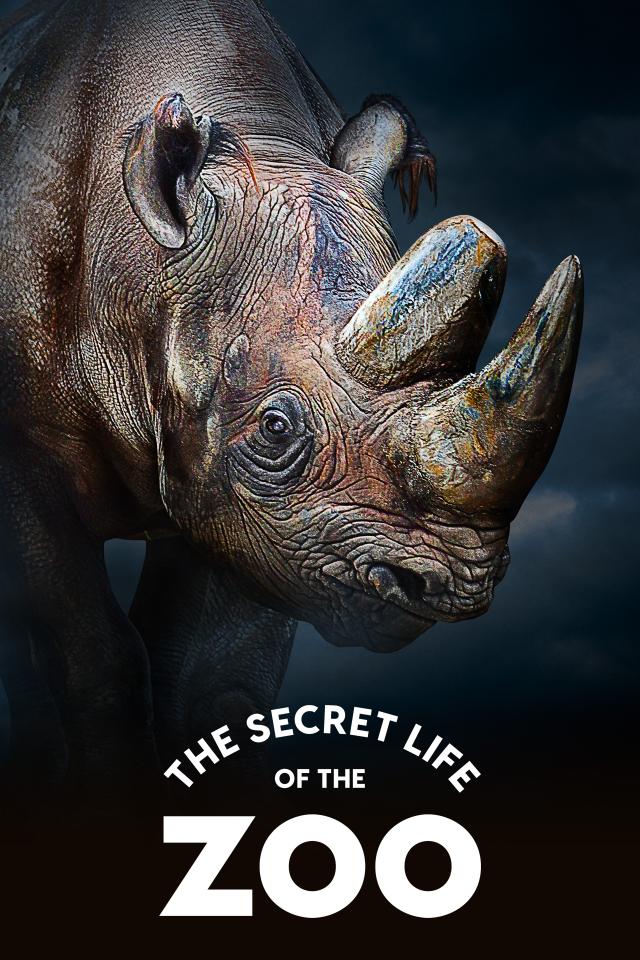 The Secret Life of the Zoo on FREECABLE TV