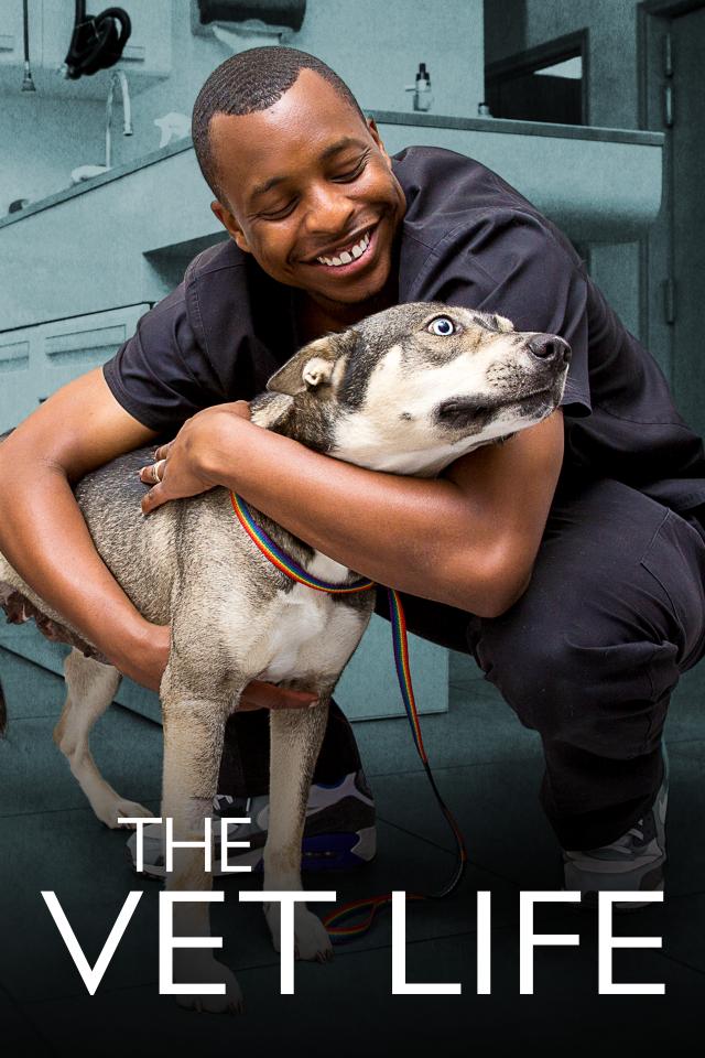 Watch The Vet Life full episodes online free FREECABLE TV