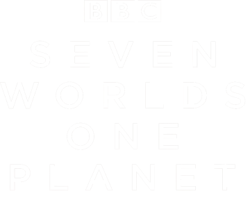 Stream Seven Worlds, One Planet | discovery+