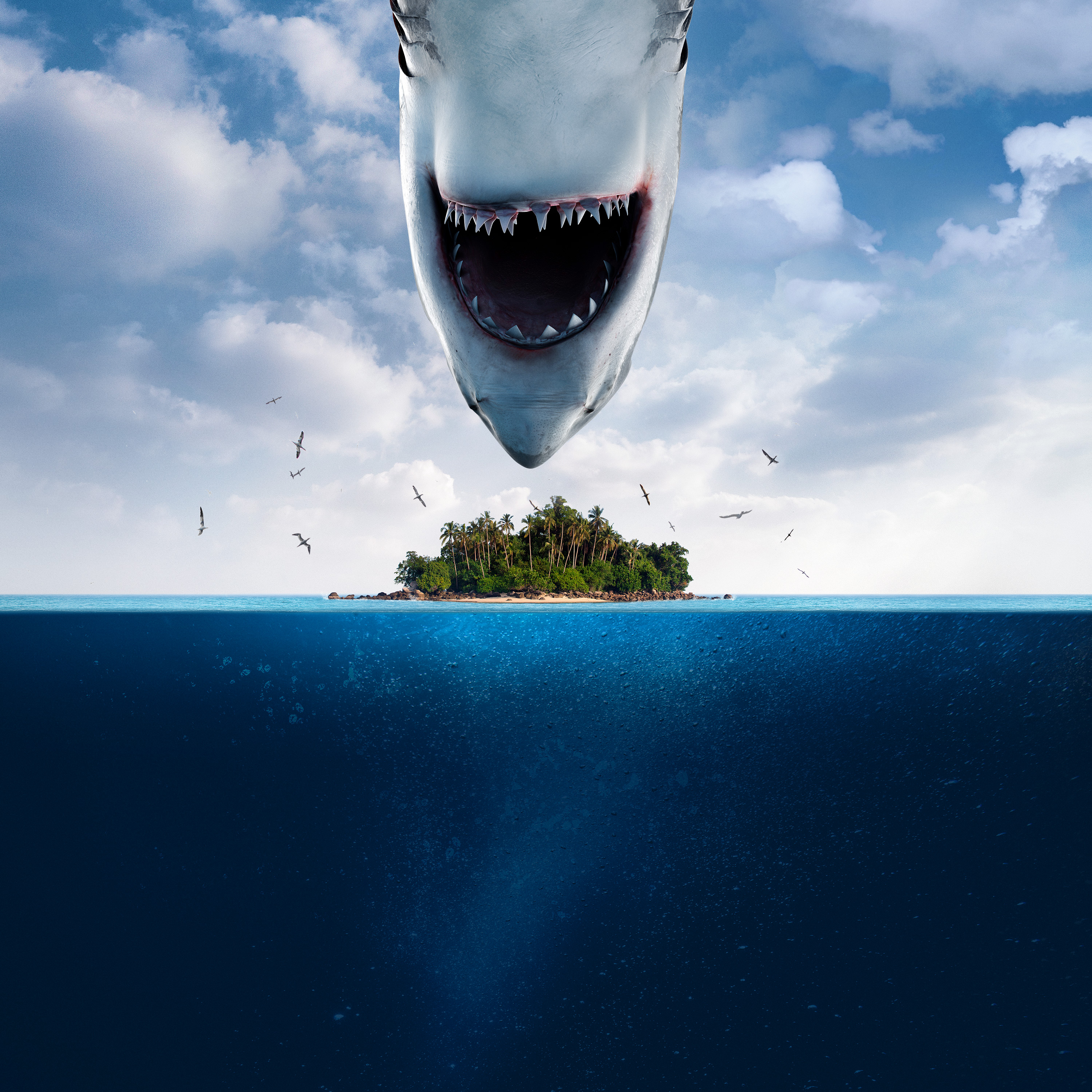 Wallpaper jaws hd GIF on GIFER  by Agamalar