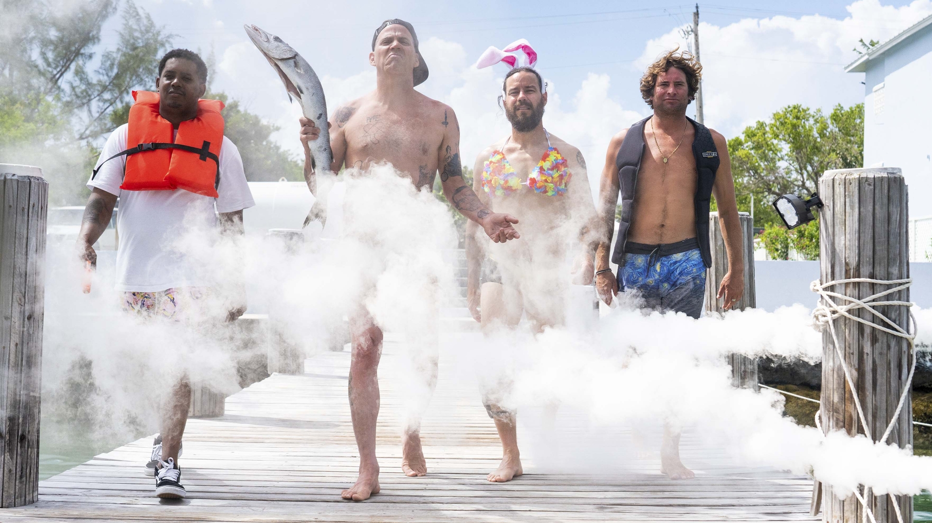 Stream Jackass Shark Week discovery+