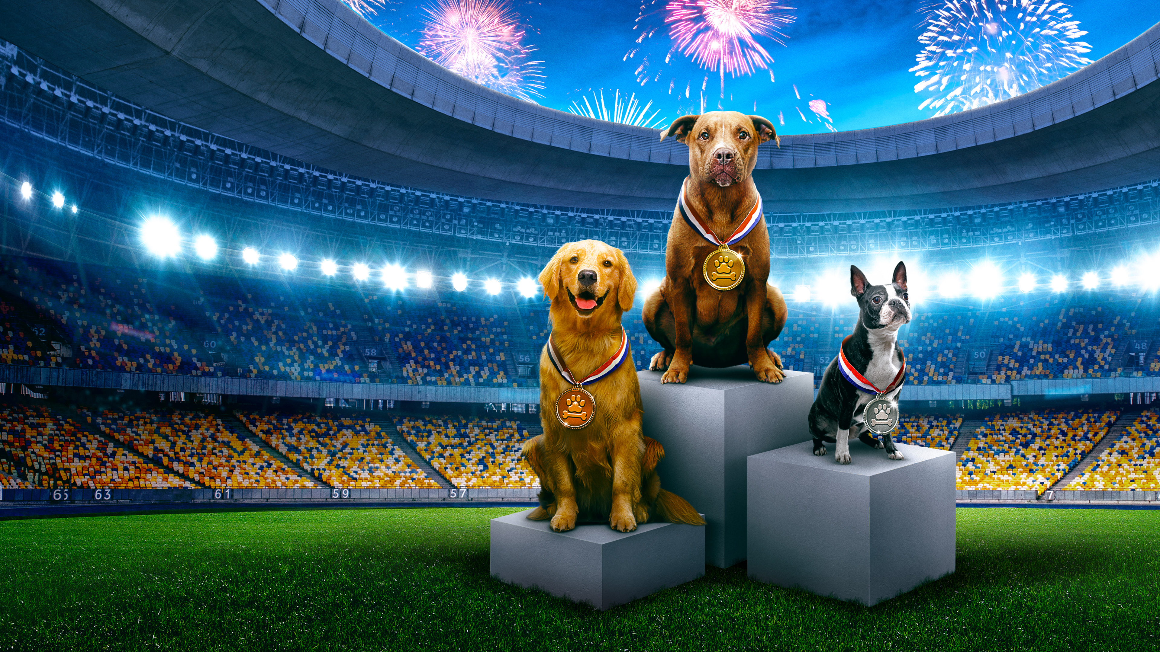 Stream Puppy Bowl Presents The Summer Games discovery+
