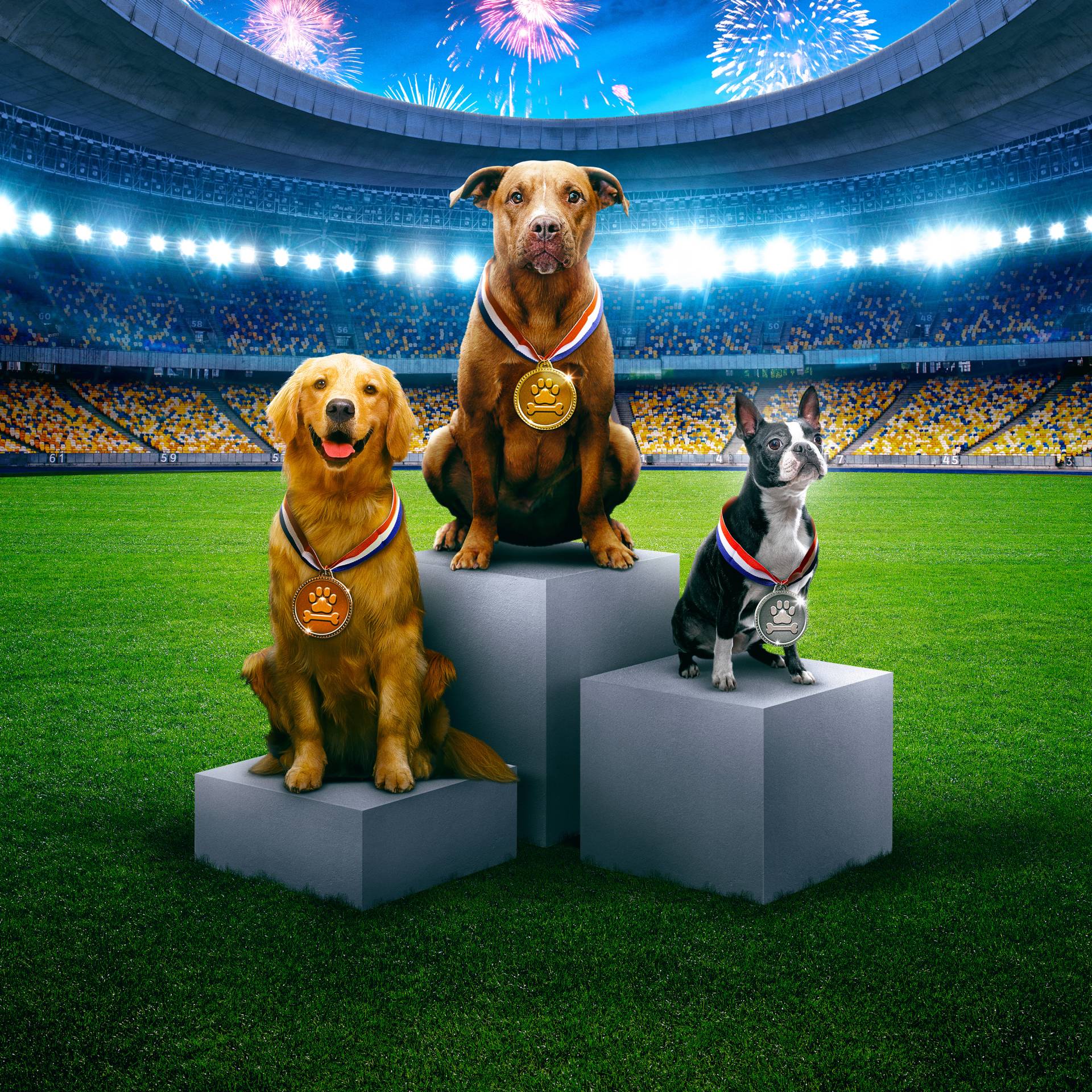 Smooshie Puppy Bowl Animal Planet Puppy Bowl 2017 Puppy Bowl