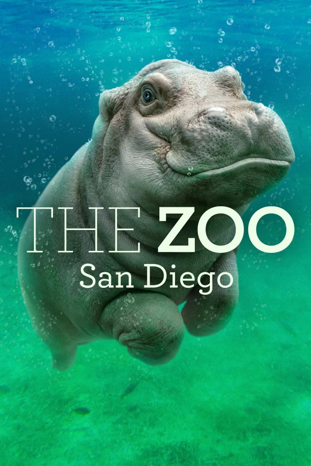 The Zoo: San Diego on FREECABLE TV
