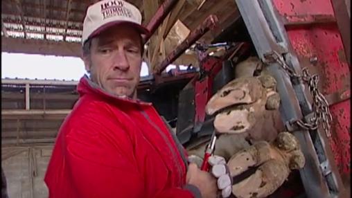 Dirty jobs roadkill collector video