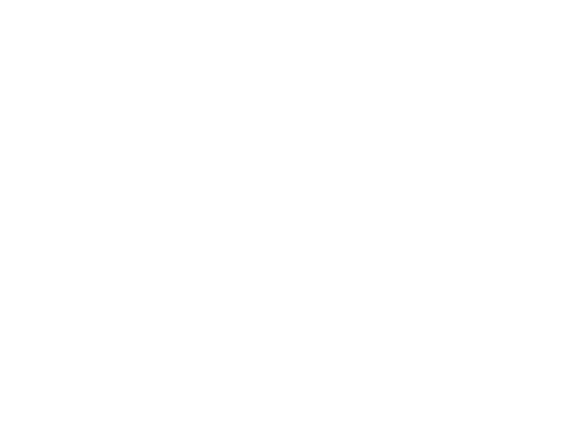 Diners, Drive-Ins, and Dives