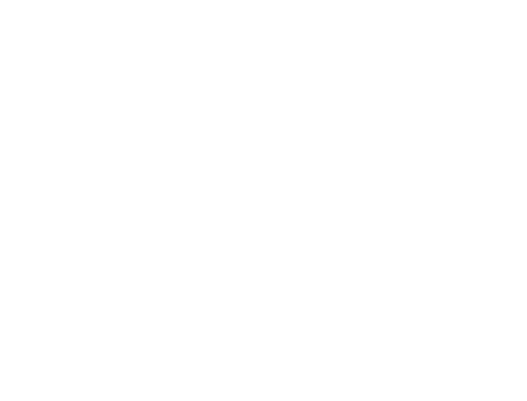 Diners, Drive-Ins, and Dives