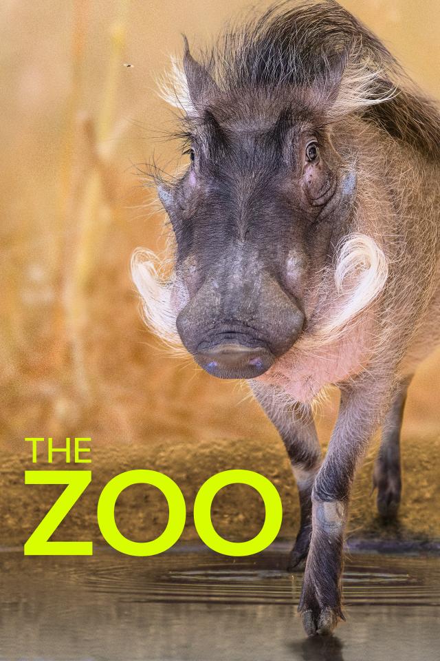 The Zoo on FREECABLE TV