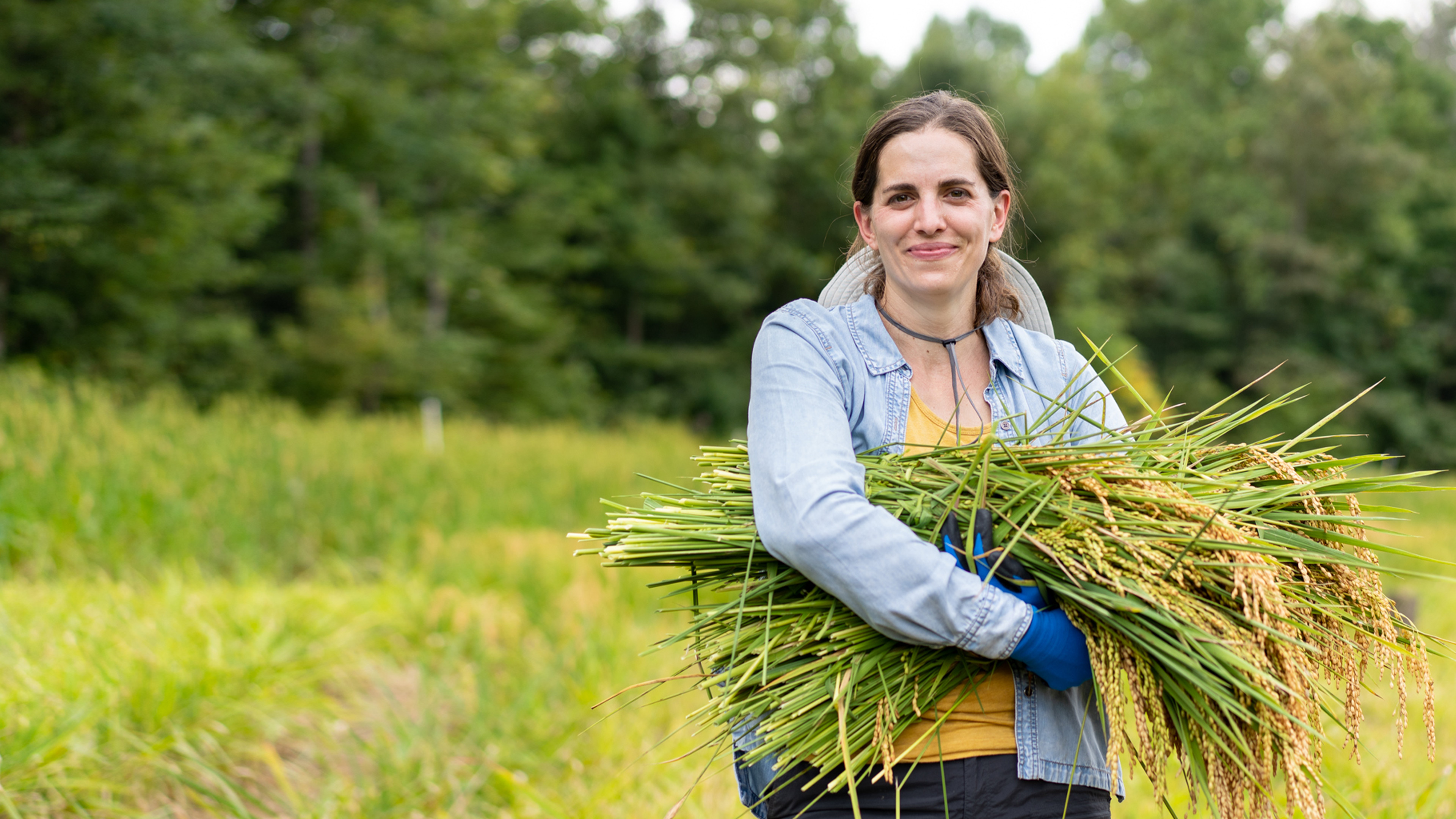 Stream Silos Baking Competition discovery+