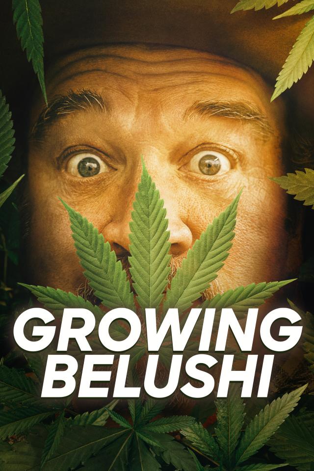 Growing Belushi on FREECABLE TV
