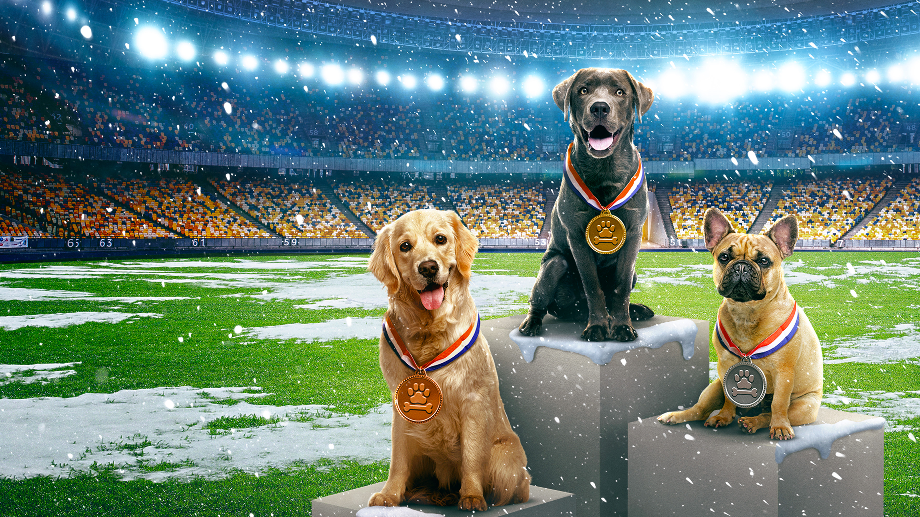 puppy bowl presents the summer dog games