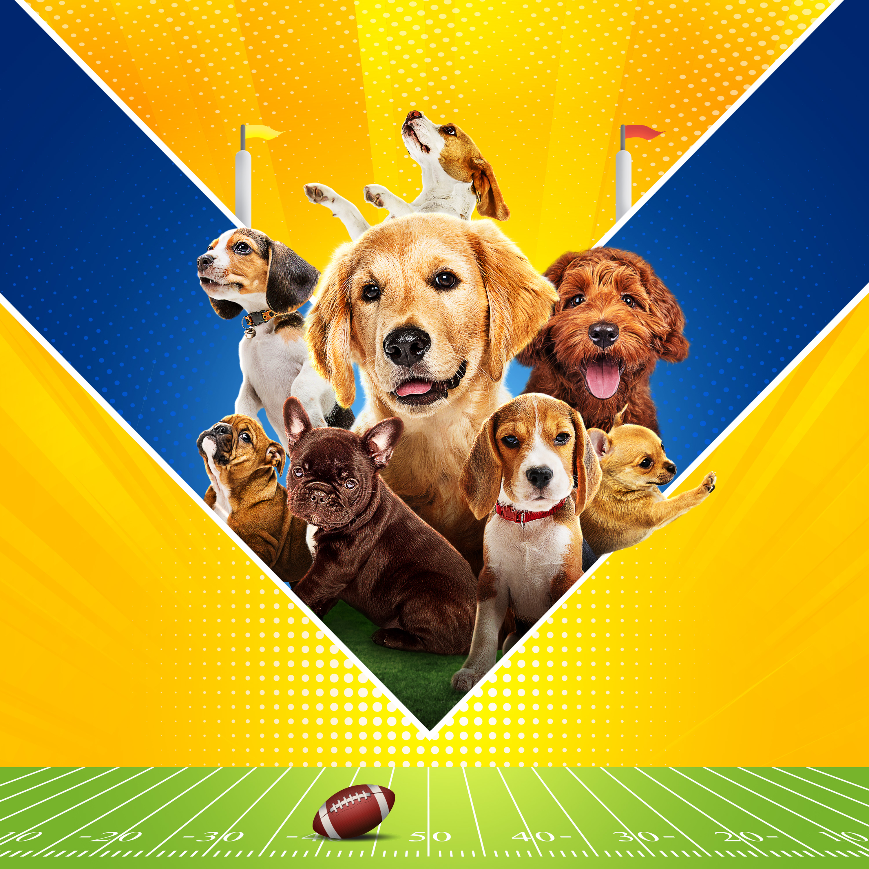 puppy bowl presents the summer dog games