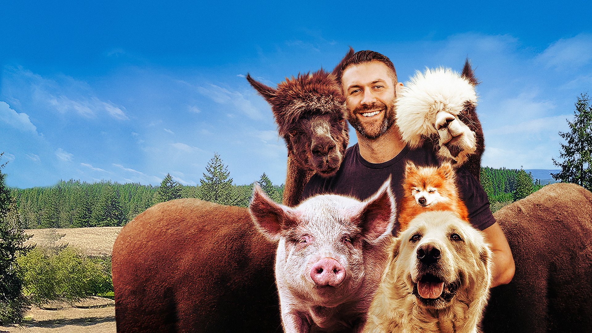 My Pack Life - Animal Planet GO My Pack Life - Animal Planet GO