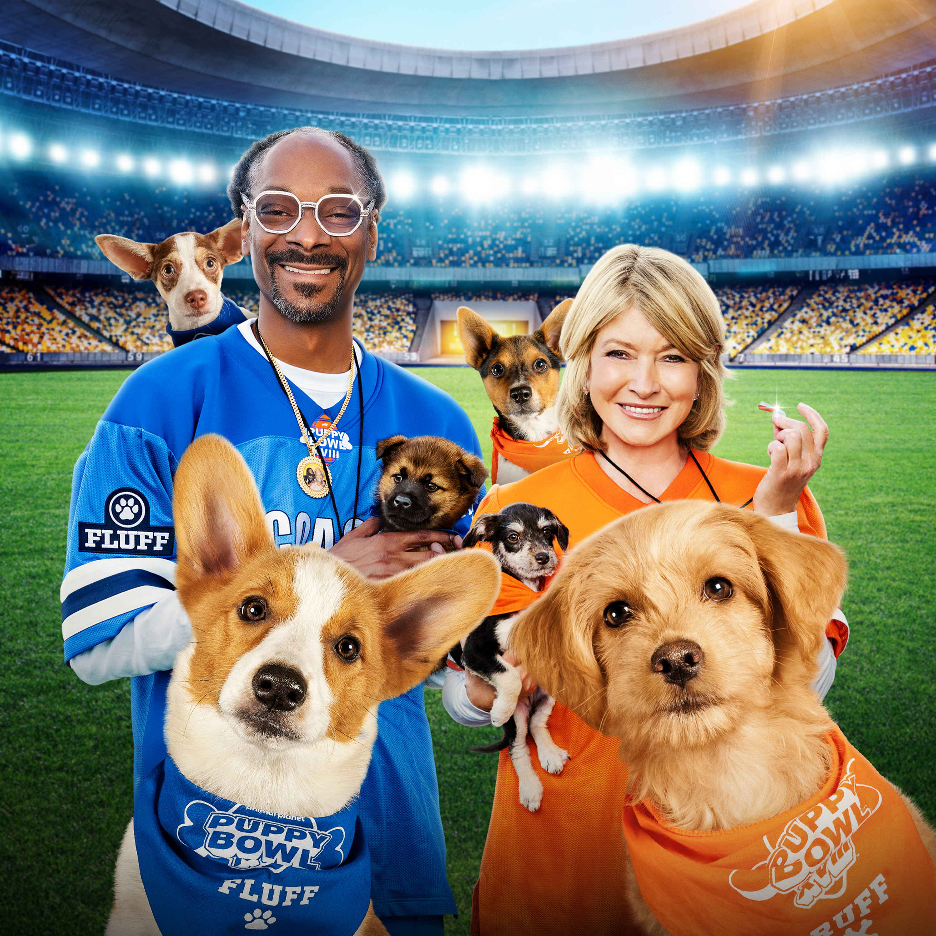 puppy bowl website