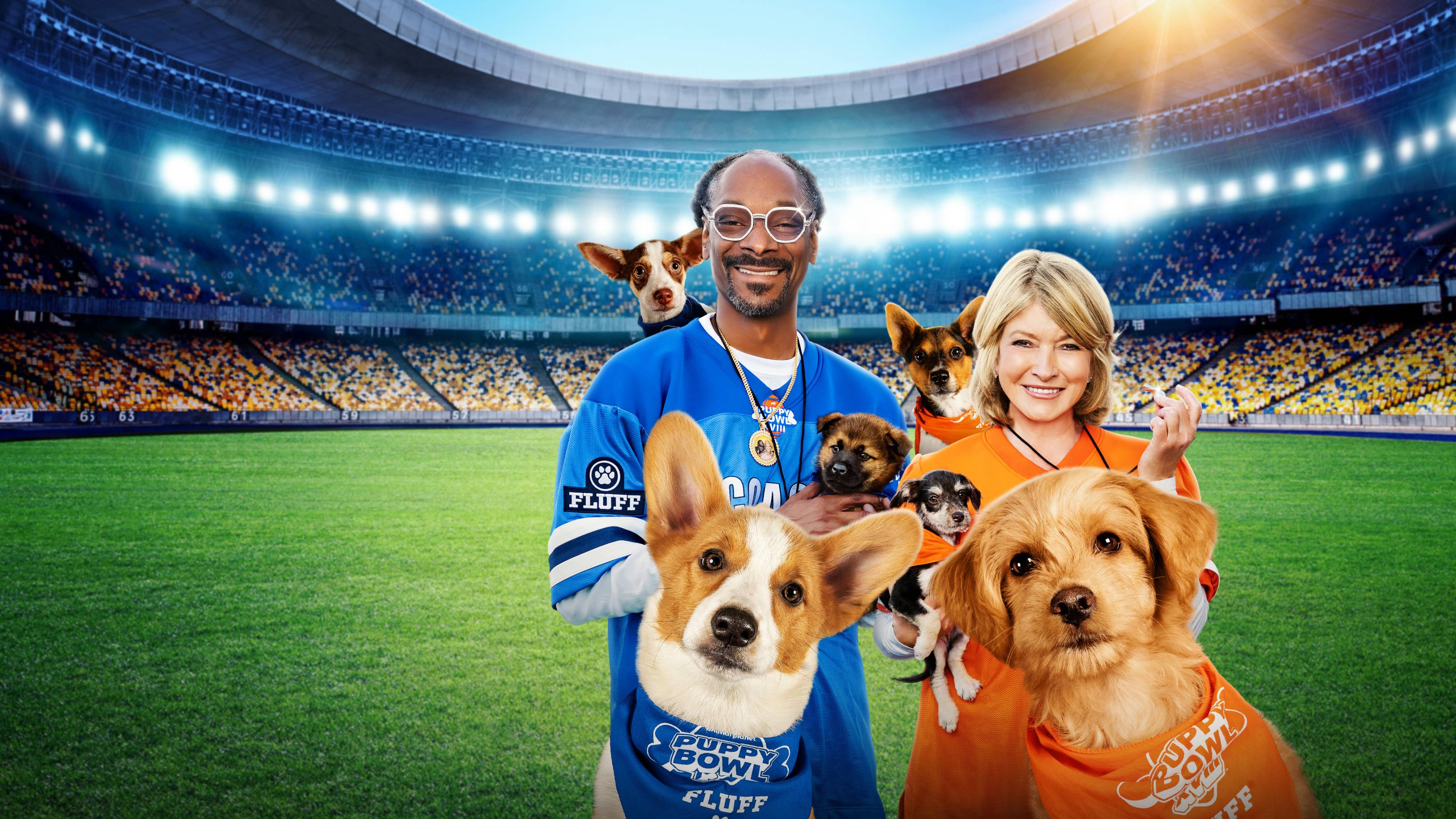 Where To Stream Puppy Bowl 2025