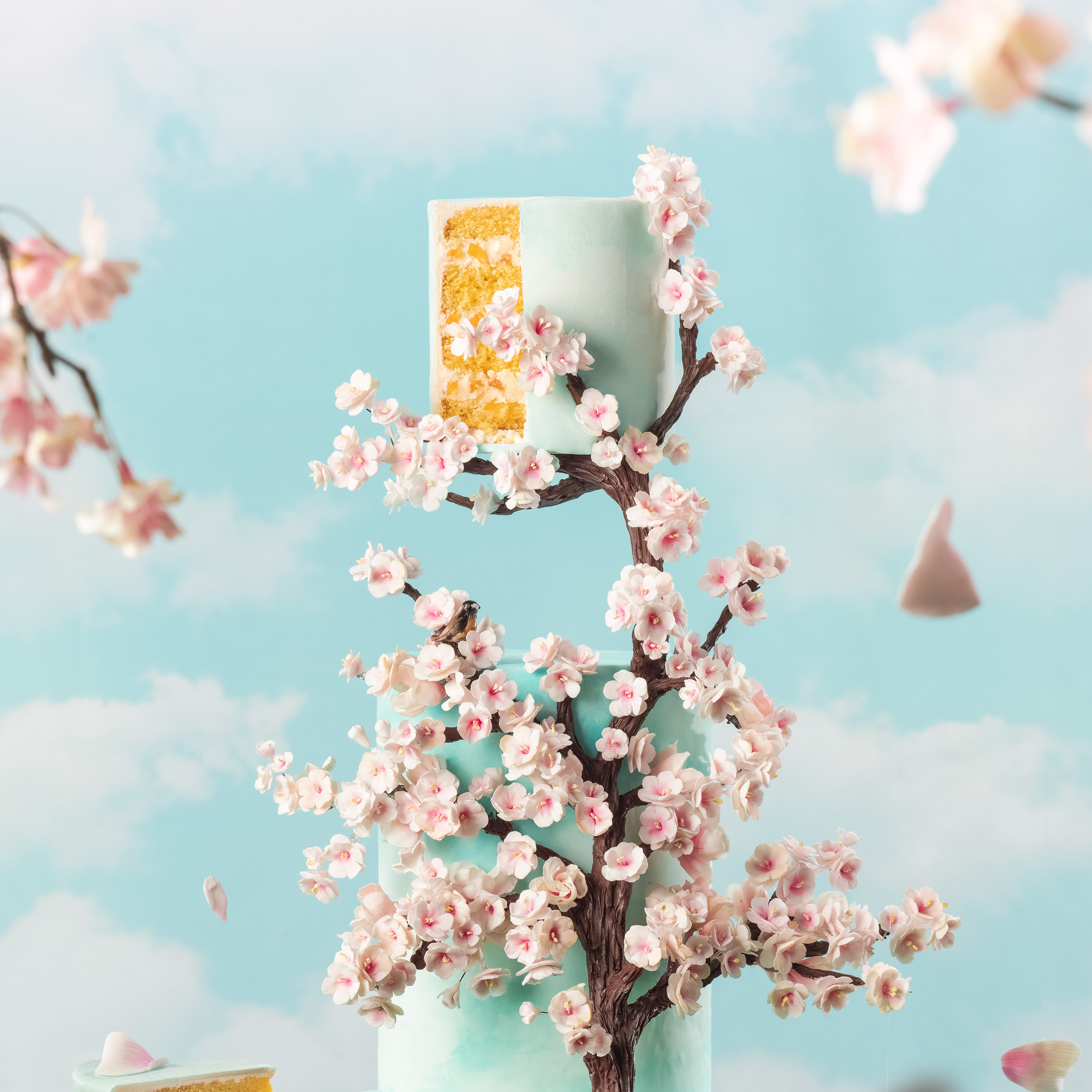 Stream Spring Baking Championship | discovery+