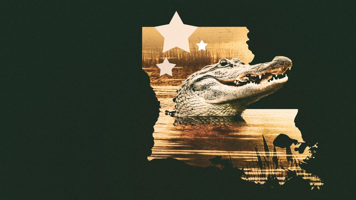 louisiana law animal planet tv schedule